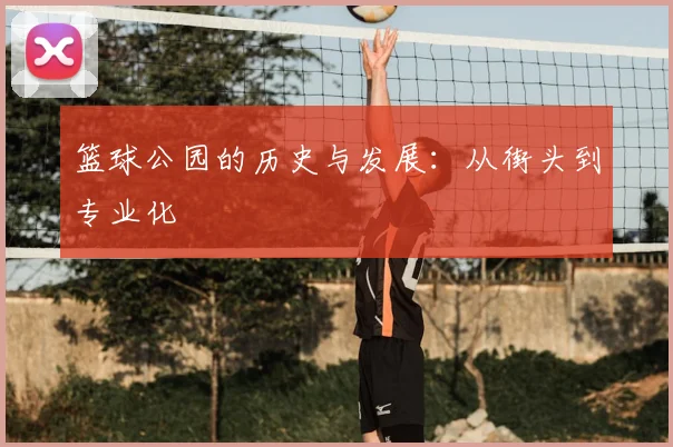 篮球公园的历史与发展:从街头到专业化