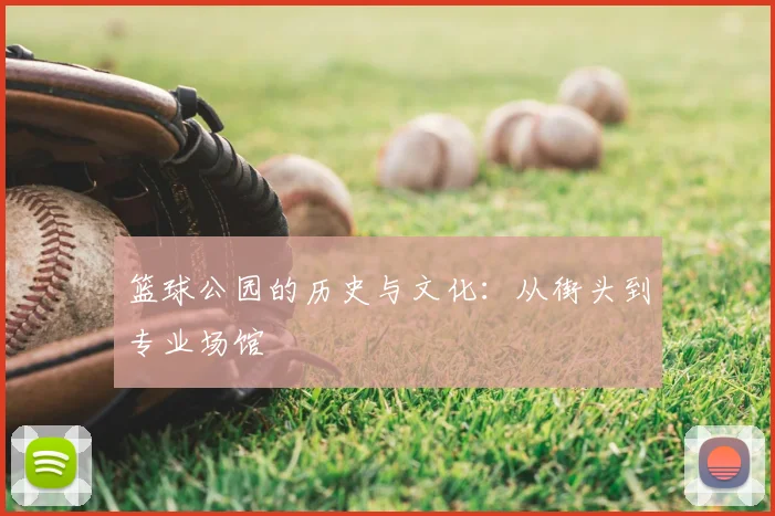 篮球公园的历史与文化:从街头到专业场馆