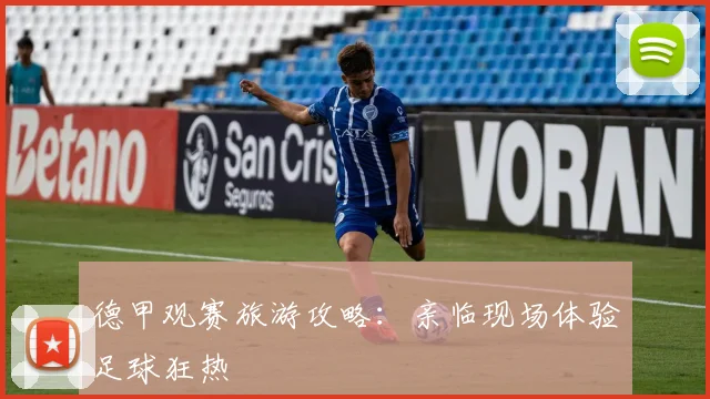 德甲观赛旅游攻略：亲临现场体验足球狂热